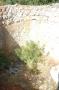 gal/Alcalar_megalithic_monuments/_thb_DSC_8791.JPG