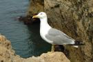 gal/Algar_Seco/_thb_DSC_5978.JPG