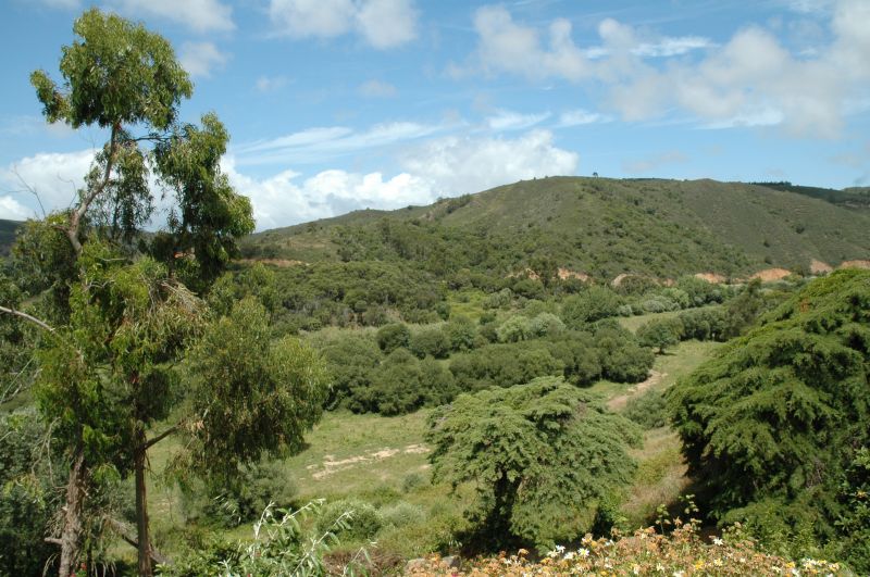 gal/Aljezur/DSC_5130.JPG