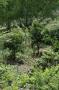 gal/Aljezur/_thb_DSC_5171.JPG