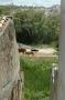 gal/Aljezur/_thb_DSC_5184.JPG