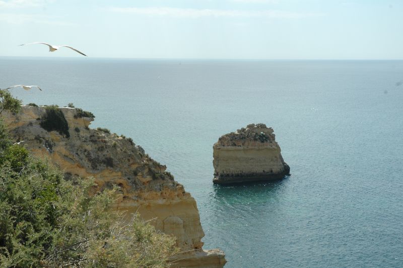 gal/Beach_Marinha/DSC_5646.JPG