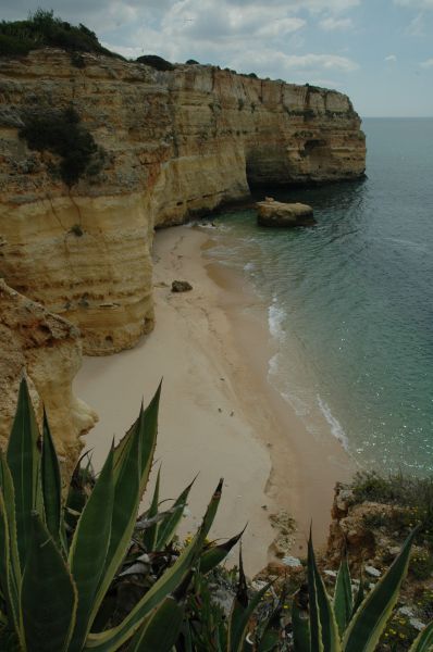gal/Beach_Marinha/DSC_5786.JPG