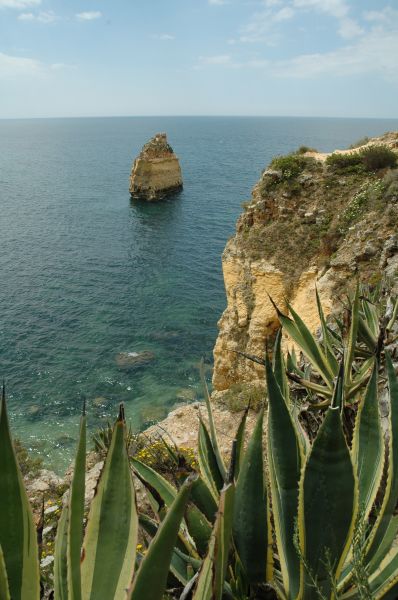 gal/Beach_Marinha/DSC_5788.JPG