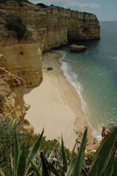gal/Beach_Marinha/DSC_5789.JPG
