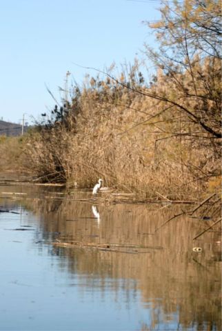 gal/Canoeing/IMG_6772.jpg