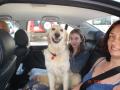 gal/Car_treasure_hunt_Easter_2006/_thb_the_winning_team_1.JPG