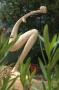 gal/FIESA_2008/_thb_DSC_5076.JPG