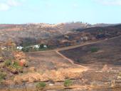 gal/Forest_fires_Algarve_2003/_thb_DSCF2755.JPG