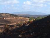 gal/Forest_fires_Algarve_2003/_thb_DSCF2757.JPG