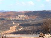 gal/Forest_fires_Algarve_2003/_thb_DSCF2761.JPG