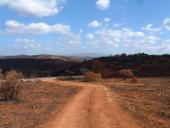 gal/Forest_fires_Algarve_2003/_thb_DSCF2762.JPG