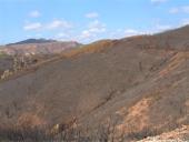 gal/Forest_fires_Algarve_2003/_thb_DSCF2797.JPG