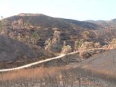 gal/Forest_fires_Algarve_2003/_thb_DSCF2800.JPG