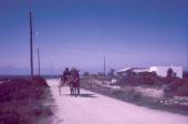gal/Georg_Durig/_thb_carvoeiro2.jpg