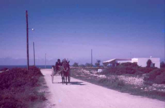 gal/Georg_Durig/carvoeiro2.jpg