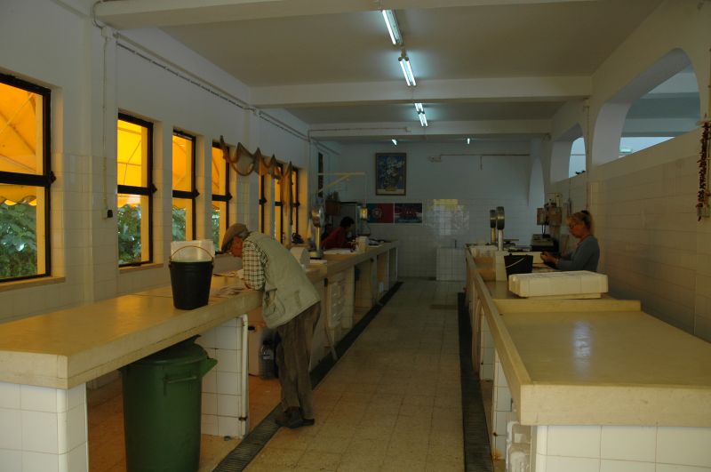 gal/Market_Carvoeiro/DSC_6022.JPG