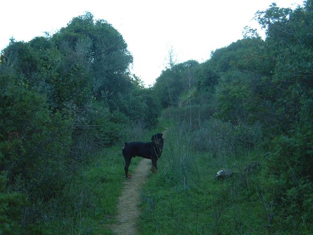 gal/Newsletters/February_2004/Nice_walk.jpg