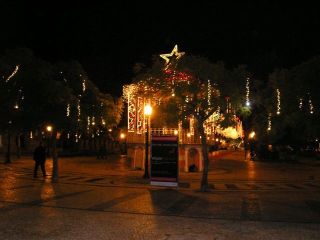 gal/Newsletters/February_2009/Christmas_Lights/PC190842.JPG