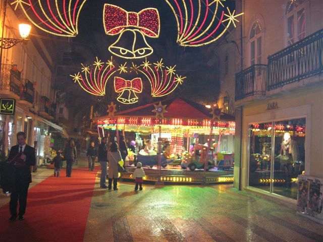 gal/Newsletters/February_2009/Christmas_Lights/PC190848.JPG