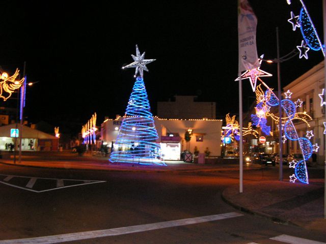 gal/Newsletters/February_2009/Christmas_Lights/PC190849.JPG