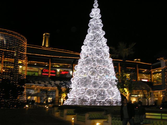gal/Newsletters/February_2009/Christmas_Lights/PC190854.JPG