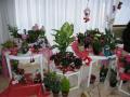 gal/Newsletters/February_2009/Network_Christmas_Fair/_thb_PC010815.JPG