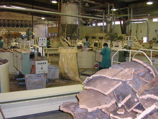 gal/Newsletters/November_2007/Cork_factory/PA180039.jpg