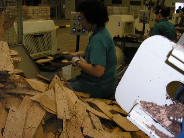 gal/Newsletters/November_2007/Cork_factory/PA180040.jpg