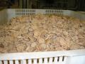 gal/Newsletters/November_2007/Cork_factory/_thb_PA180041.jpg