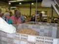 gal/Newsletters/November_2007/Cork_factory/_thb_PA180042.jpg