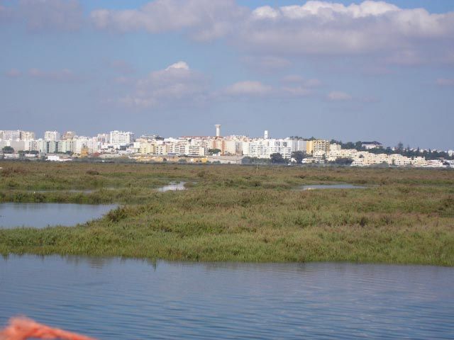 gal/Newsletters/November_2007/Ria_Formosa_Natural_Park/PA050006.jpg