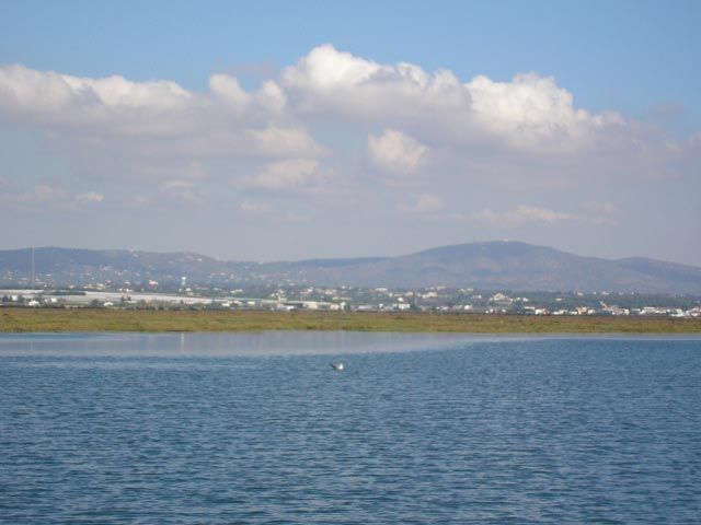 gal/Newsletters/November_2007/Ria_Formosa_Natural_Park/PA050010.jpg