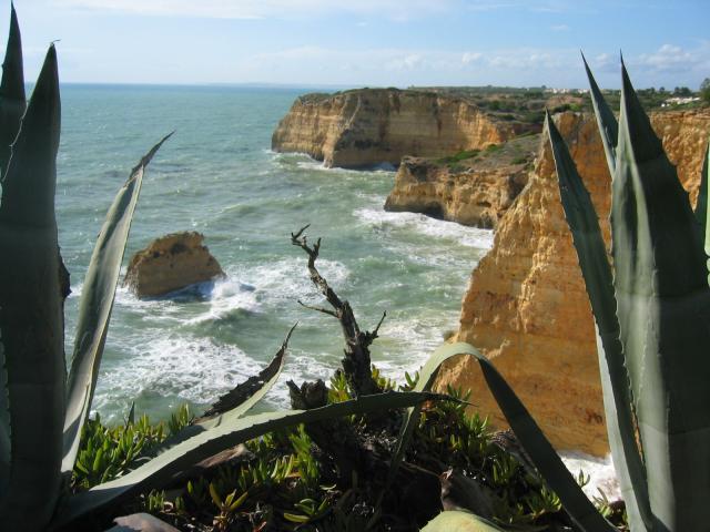 gal/Roy_Allen/Carvoeiro/121_2155.jpg