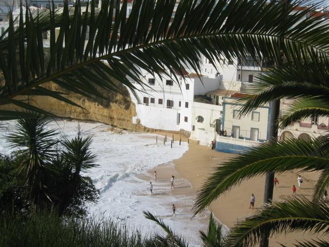 gal/Roy_Allen/Carvoeiro/121_2164.jpg