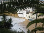 gal/Roy_Allen/Carvoeiro/_thb_121_2164.jpg