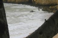 gal/Roy_Allen/Waves/_thb_121_2134.jpg