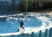 gal/Roy_Allen/zoomarine/_thb_120_2071.jpg