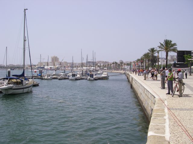 gal/Sardines_in_Portimao/IMGP0761.JPG