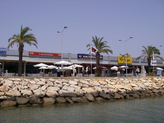 gal/Sardines_in_Portimao/IMGP0769.JPG