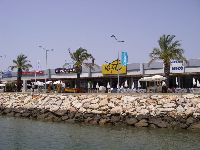 gal/Sardines_in_Portimao/IMGP0770.JPG