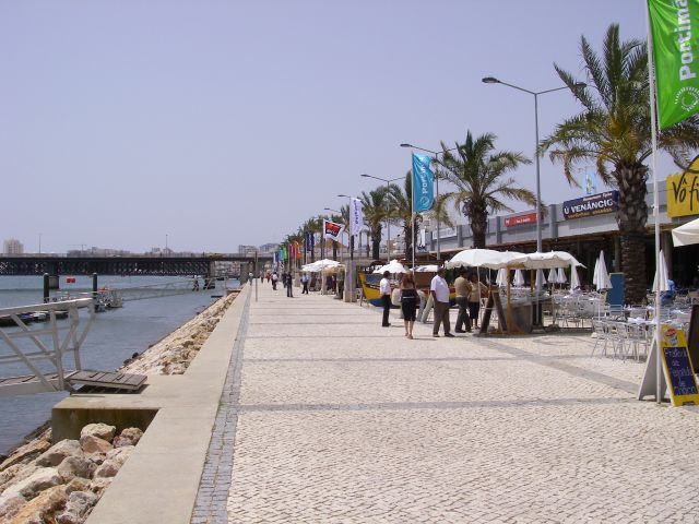 gal/Sardines_in_Portimao/IMGP0772.JPG