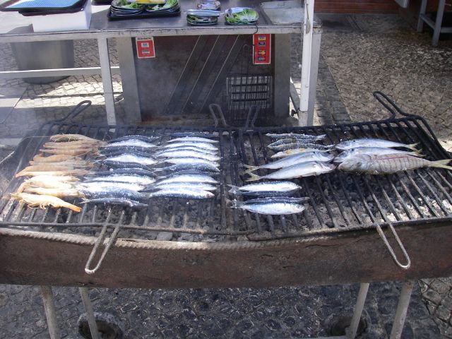 gal/Sardines_in_Portimao/IMGP0776.JPG