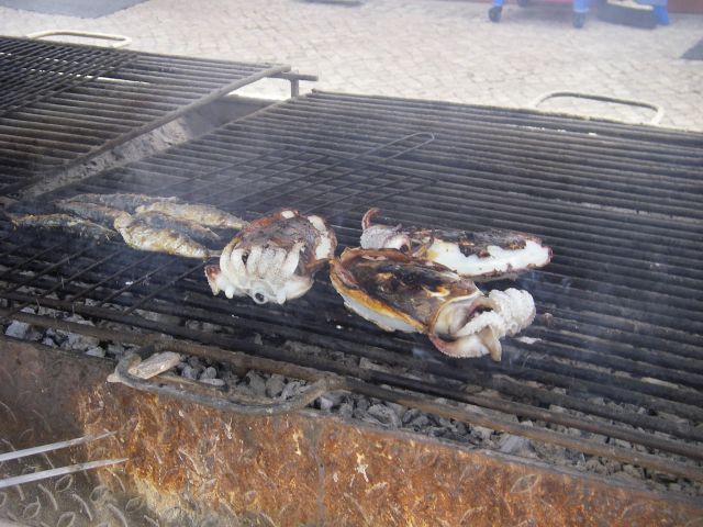 gal/Sardines_in_Portimao/IMGP0781.JPG