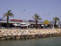 gal/Sardines_in_Portimao/_thb_IMGP0769.JPG