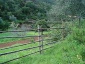 gal/The_farm/farm/_thb_bigfarm15.jpg