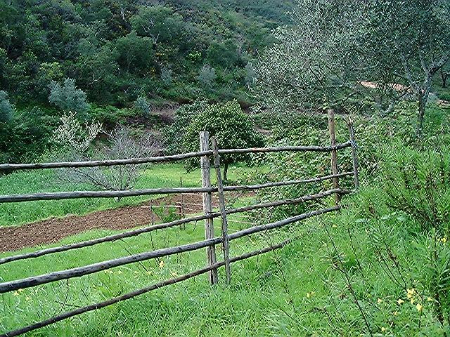 gal/The_farm/farm/bigfarm15.jpg