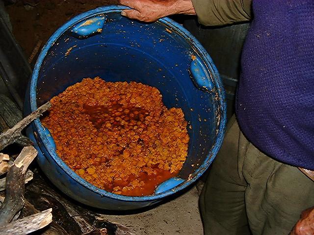 gal/The_farm/medronho_distilling/bigfarm20.jpg