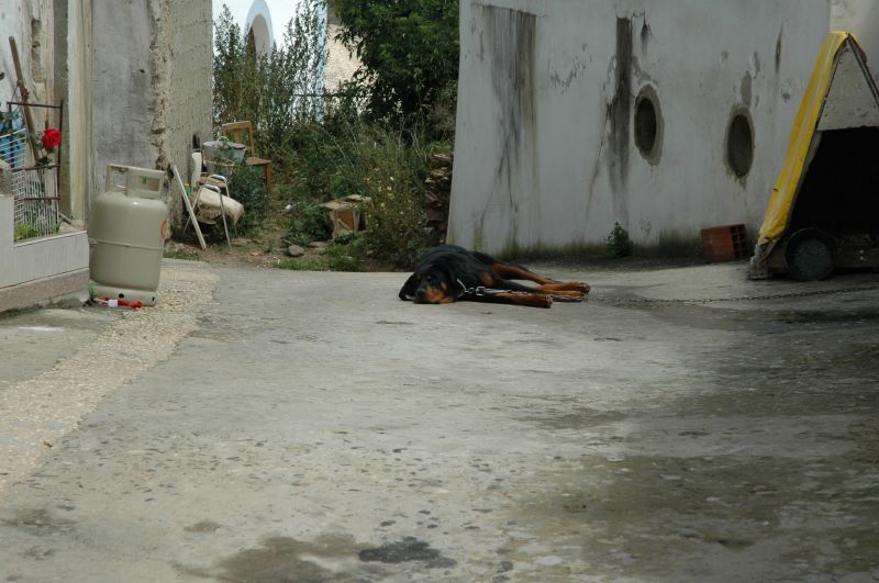 gal/Aljezur/DSC_5119.JPG